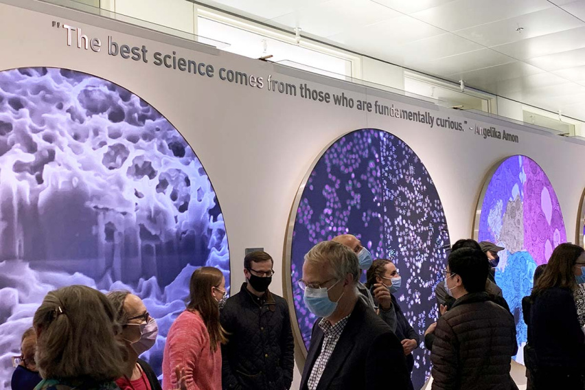 Viewers gather in the Koch Institute West Gallery