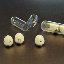 tortoise shell-shaped pill with miniature post made of insulin