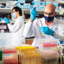 two men working at lab benches