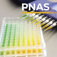 PNAS cover with multipipette and eppendorf tubes