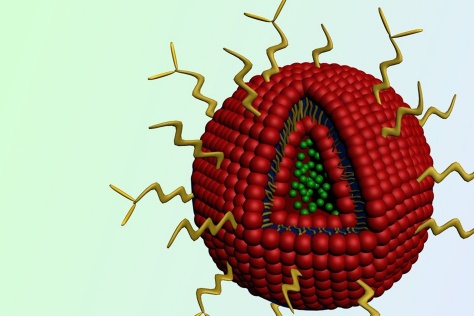 nanoparticle containing the cancer drug doxorubicin