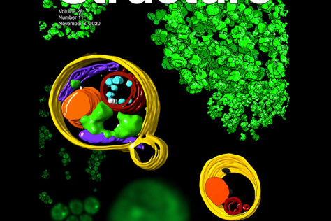 cover of the journal Structure