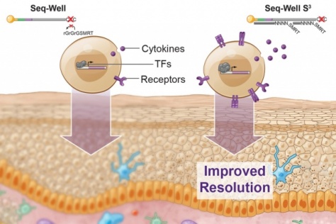 illustration of improved resolution using SeqWell S3 technology