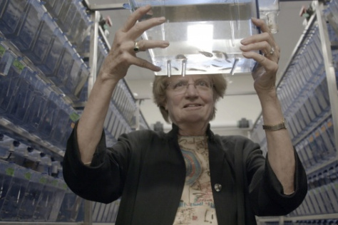 Nancy Hopkins holding a small tank of zebrafish