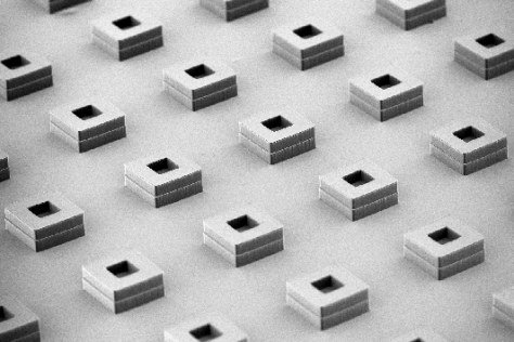 scanning electron microscopy image of microparticle bases