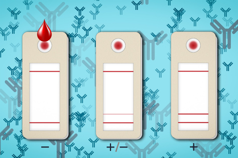 illustration of 3 lateral flow tests, a beige cartridge with a readout showing different combinations of lines 