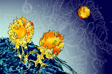 Illustration of two spherical T cells with tendrils attaching to a cancer cell. A sketch of the STING molecule fills the background.