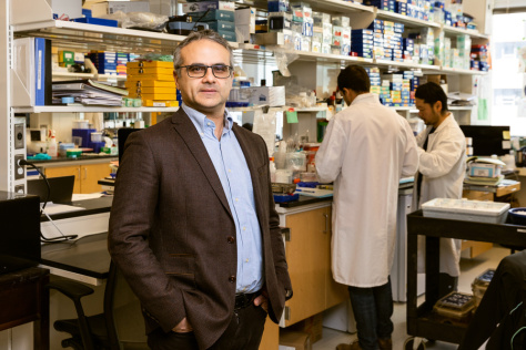 Omer Yilmaz in his lab. Two researchers work at a lab bench behind him.