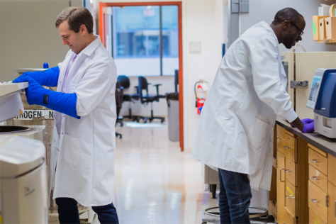 Tobi Oni and another scientist working at opposite lab benches