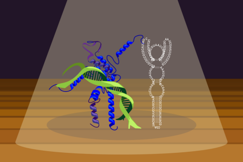 Personified RNA, transcription factor, and RNA molecules dancing a tango